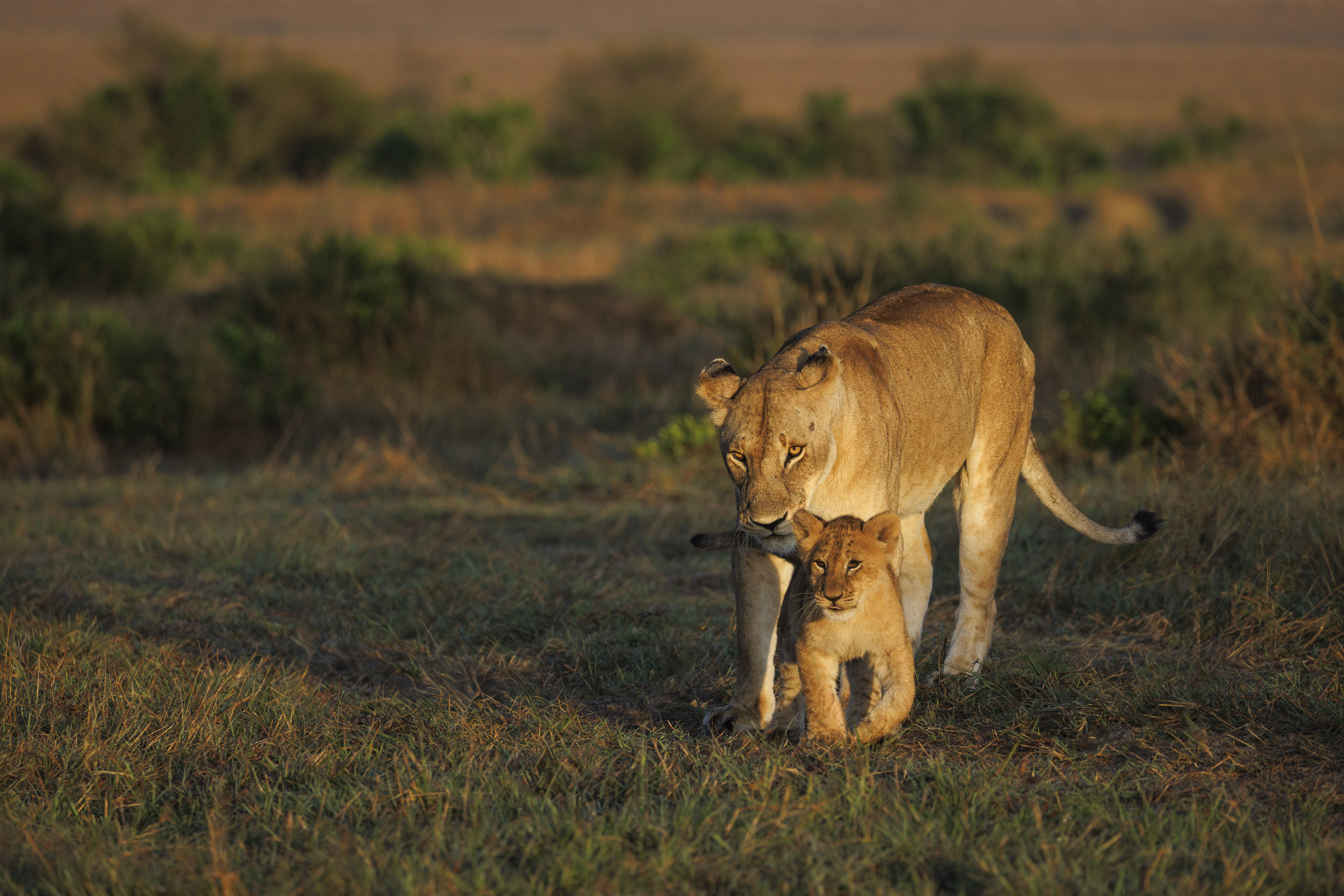 November 11, 2022-062957-2-Edit-Edit.jpg